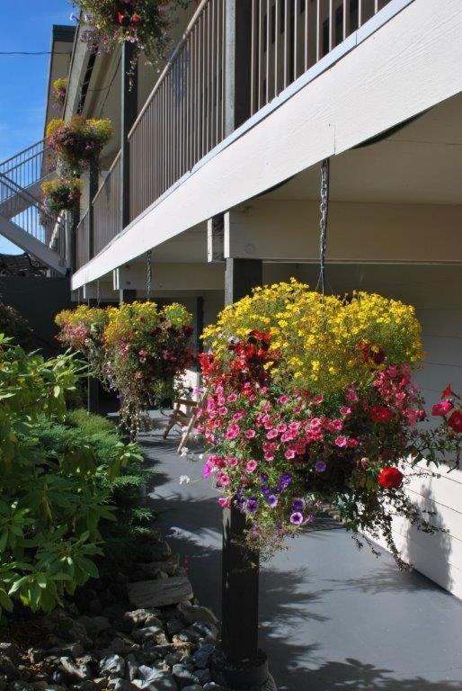 Pacific Rim Motel Ucluelet Luaran gambar