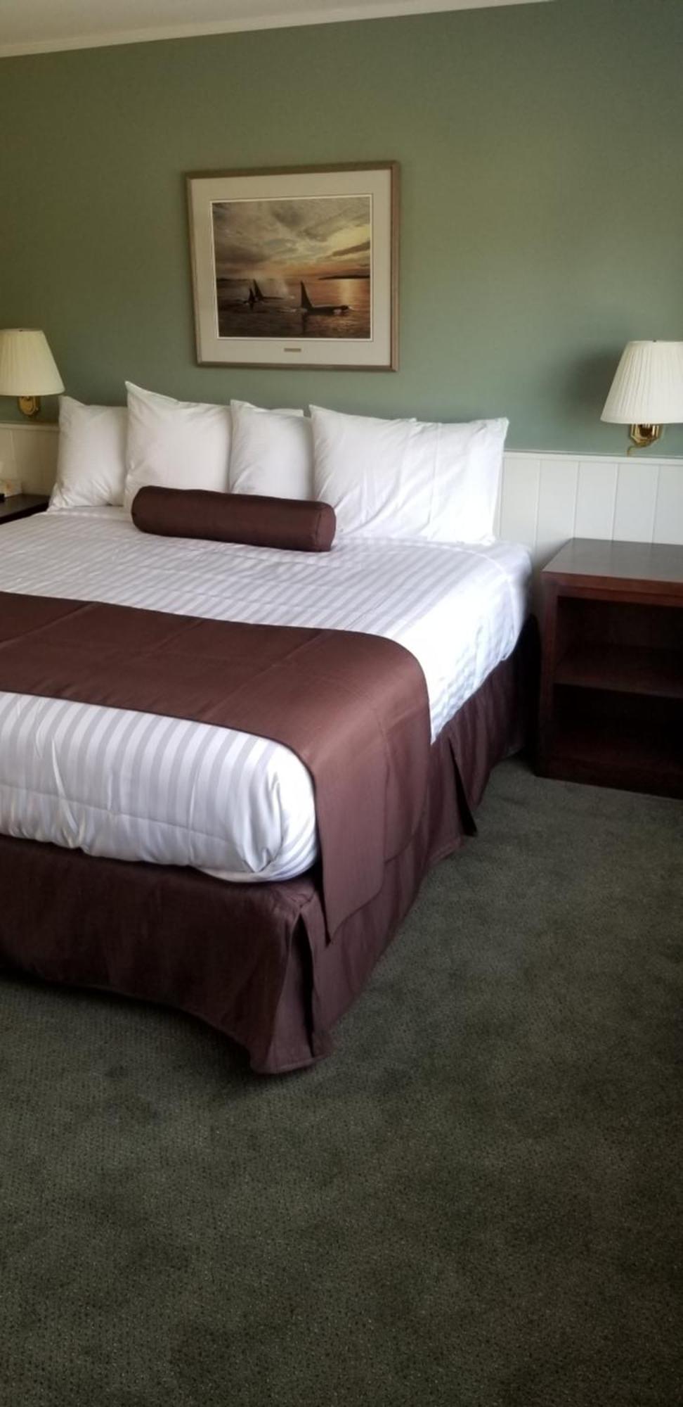 Pacific Rim Motel Ucluelet Luaran gambar